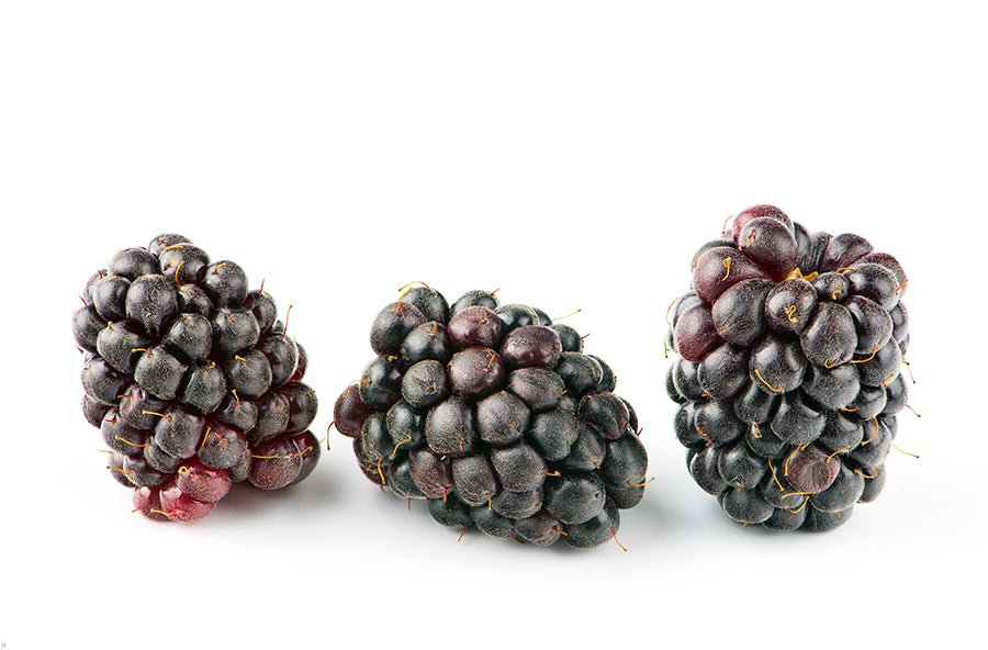 The Sweet and Sour Story of the Boysenberry: From Past to Present - Small Batch Jam Co