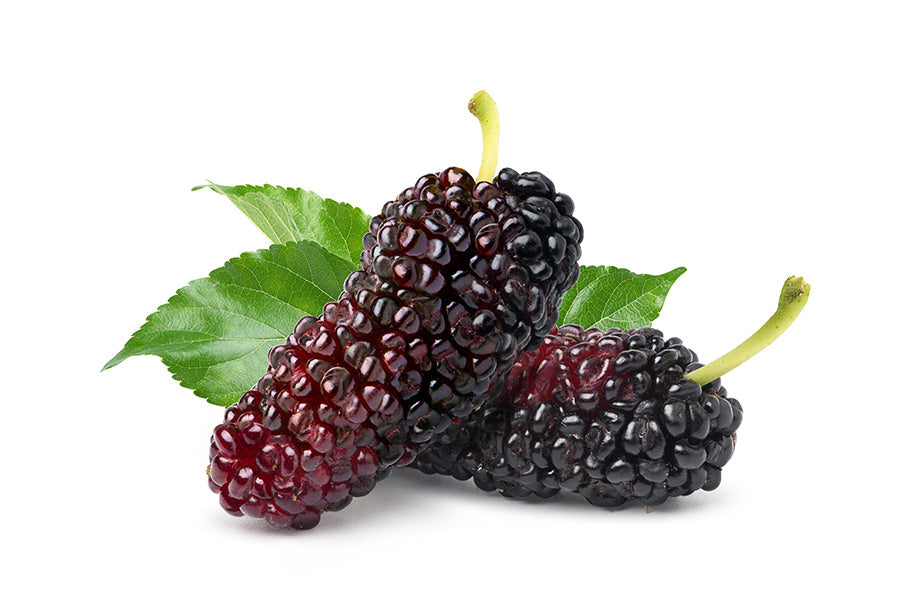 mulberry powder
