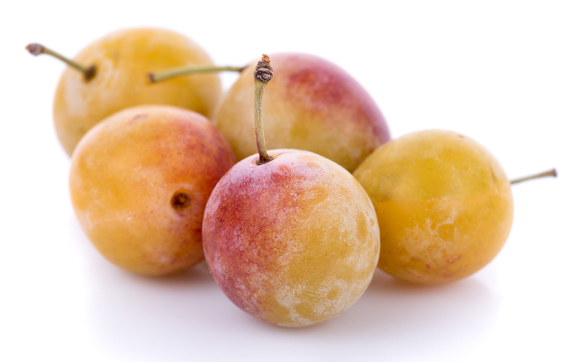 mirabelle plums