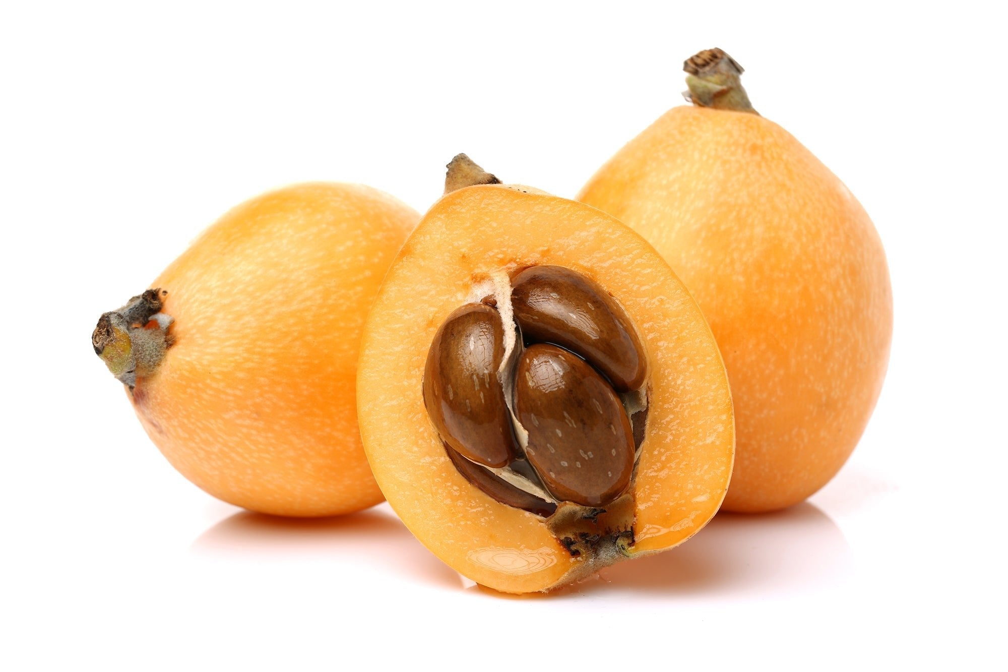 Unlocking the Secrets of the Loquat Fruit: A Journey Through History and Flavor - Small Batch Jam Co