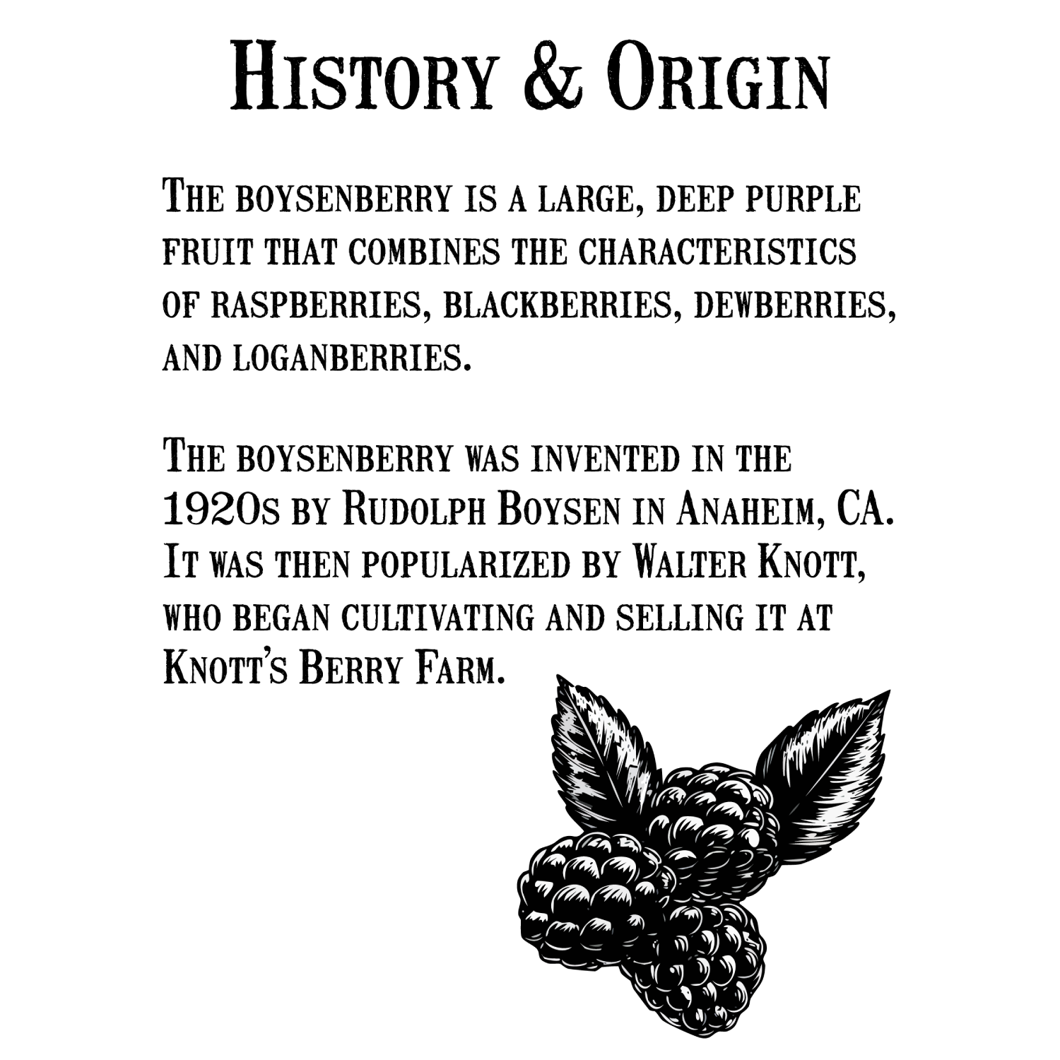 Confiture de boysenberry