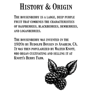 Confiture de boysenberry