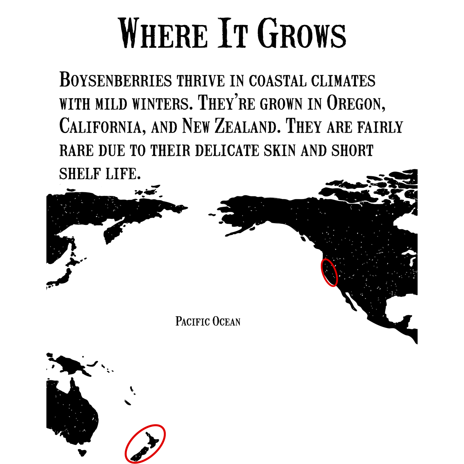 Confiture de boysenberry