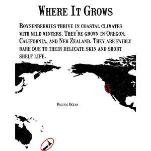 Confiture de boysenberry