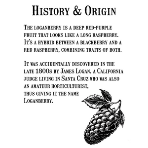 LoganberryJam-リザーブコレクション