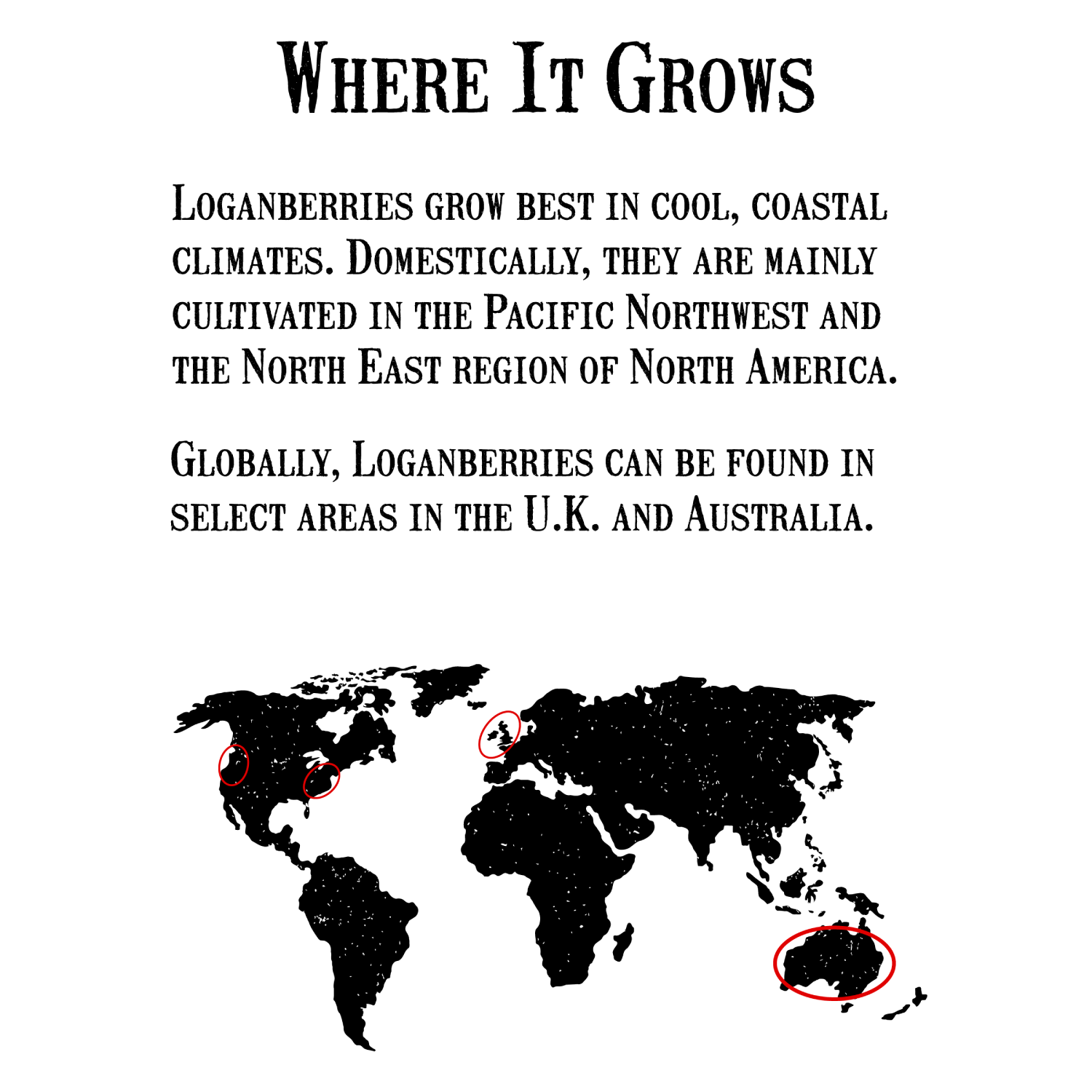 LoganberryJam-リザーブコレクション