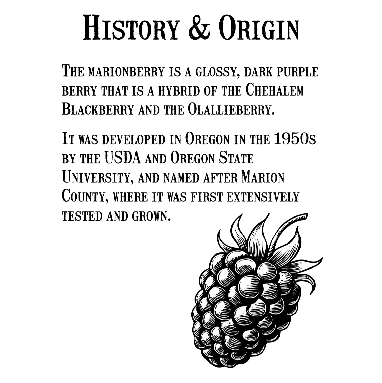 ハックルベリージャム-リザーブコレクション