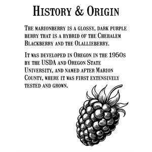 ハックルベリージャム-リザーブコレクション