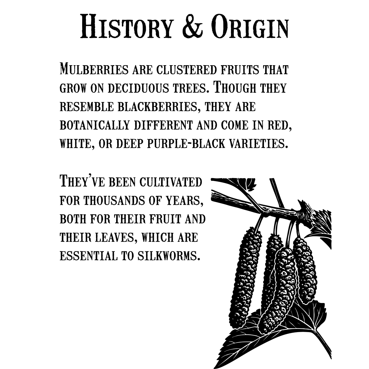 ハックルベリージャム-リザーブコレクション