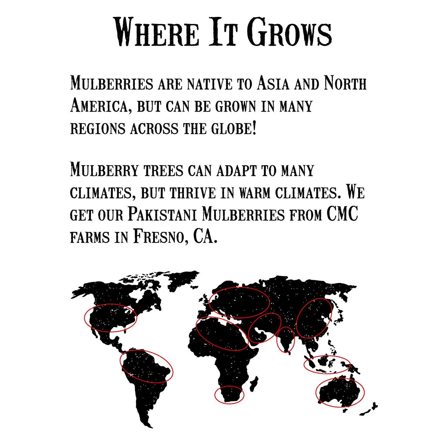 ハックルベリージャム-リザーブコレクション