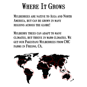 ハックルベリージャム-リザーブコレクション