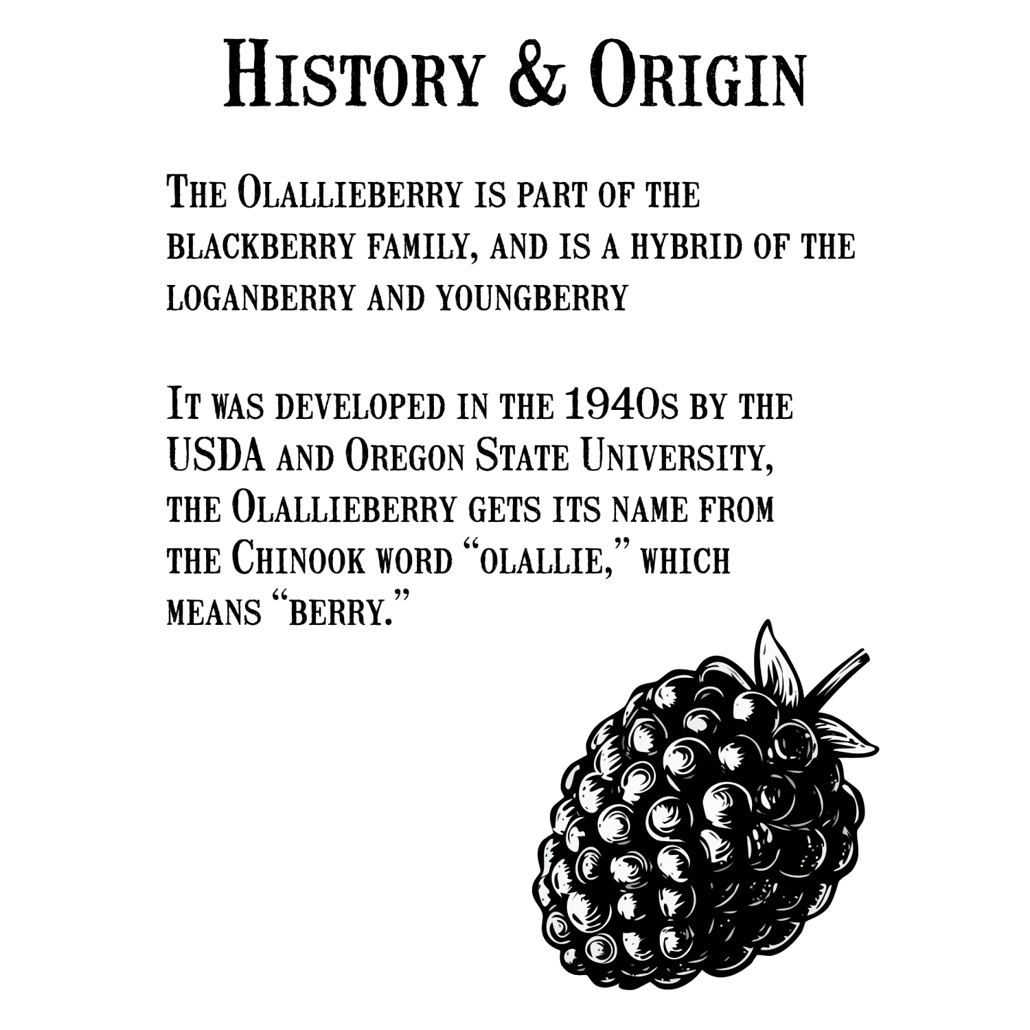 オーリアリィジャム