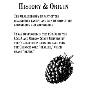 オーリアリィジャム