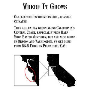 オーリアリィジャム